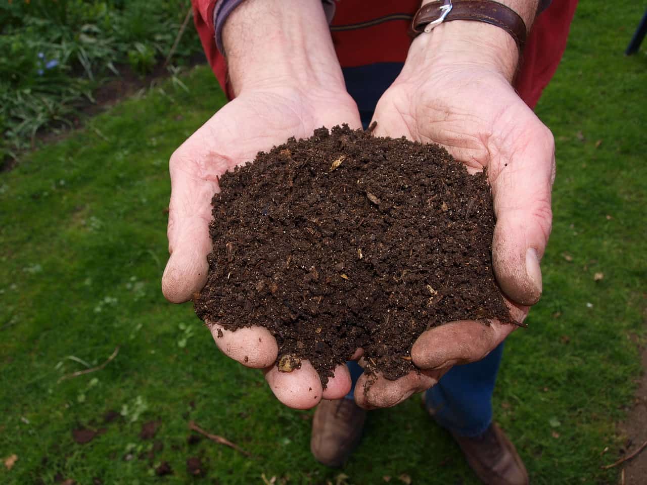 composting hands soil