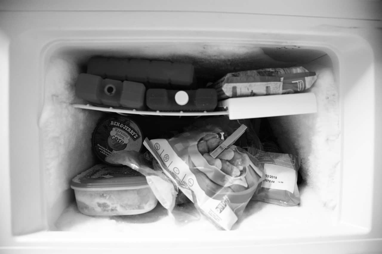 freezer food storage