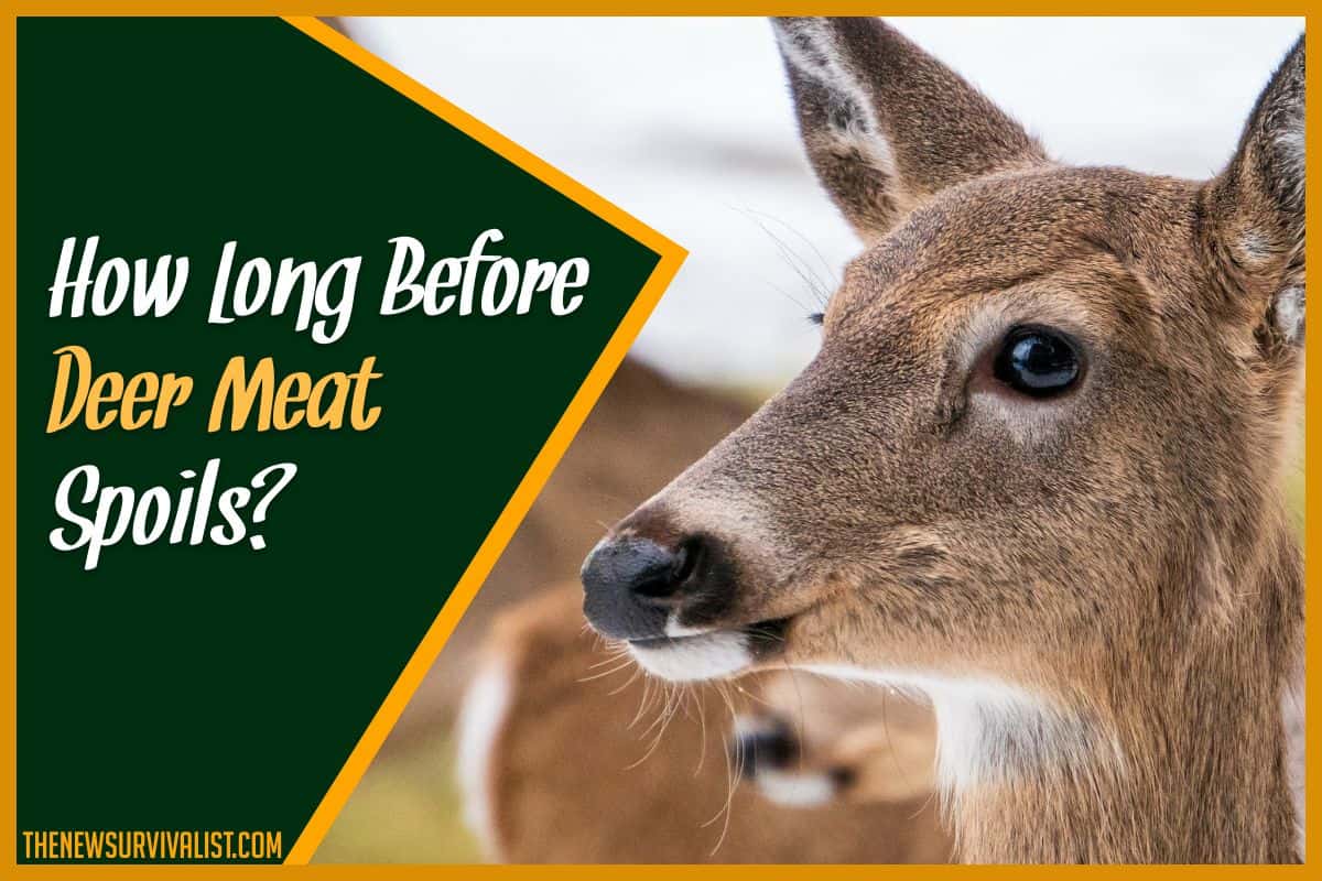 How Long Before Deer Meat Spoils & How to Detect Spoilage