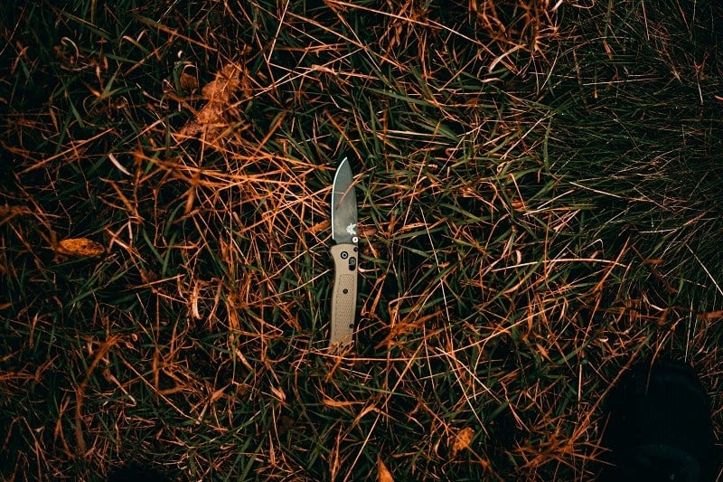 knife grass