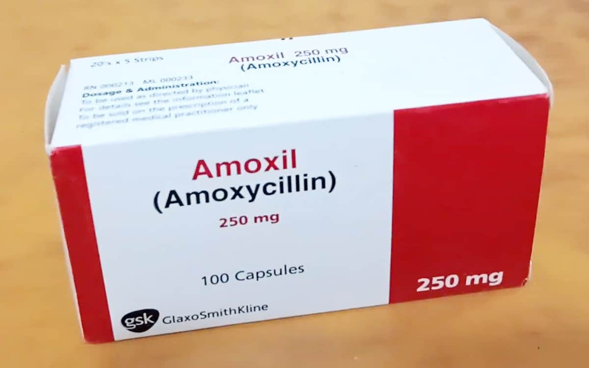 amoxycillin pack