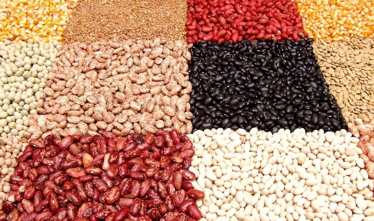 beans variety