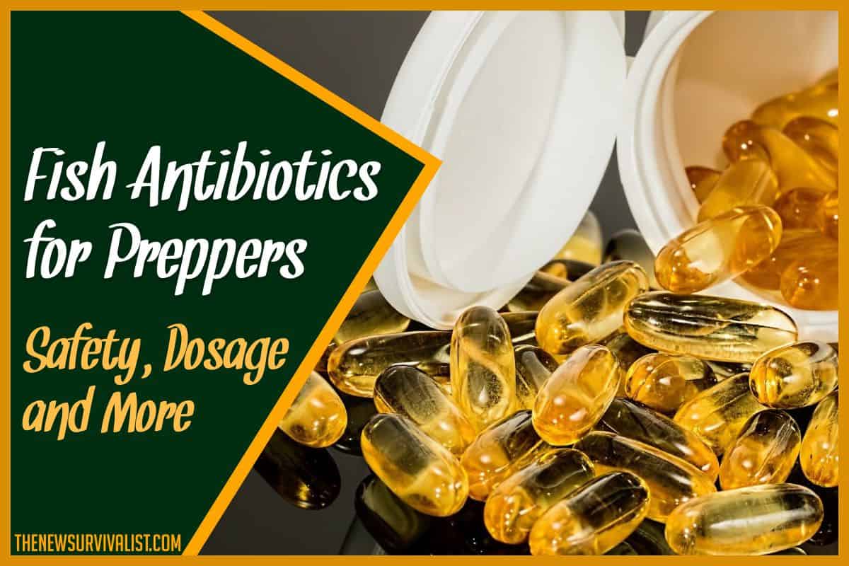 Fish Antibiotics for Preppers Safety, Dosage and More