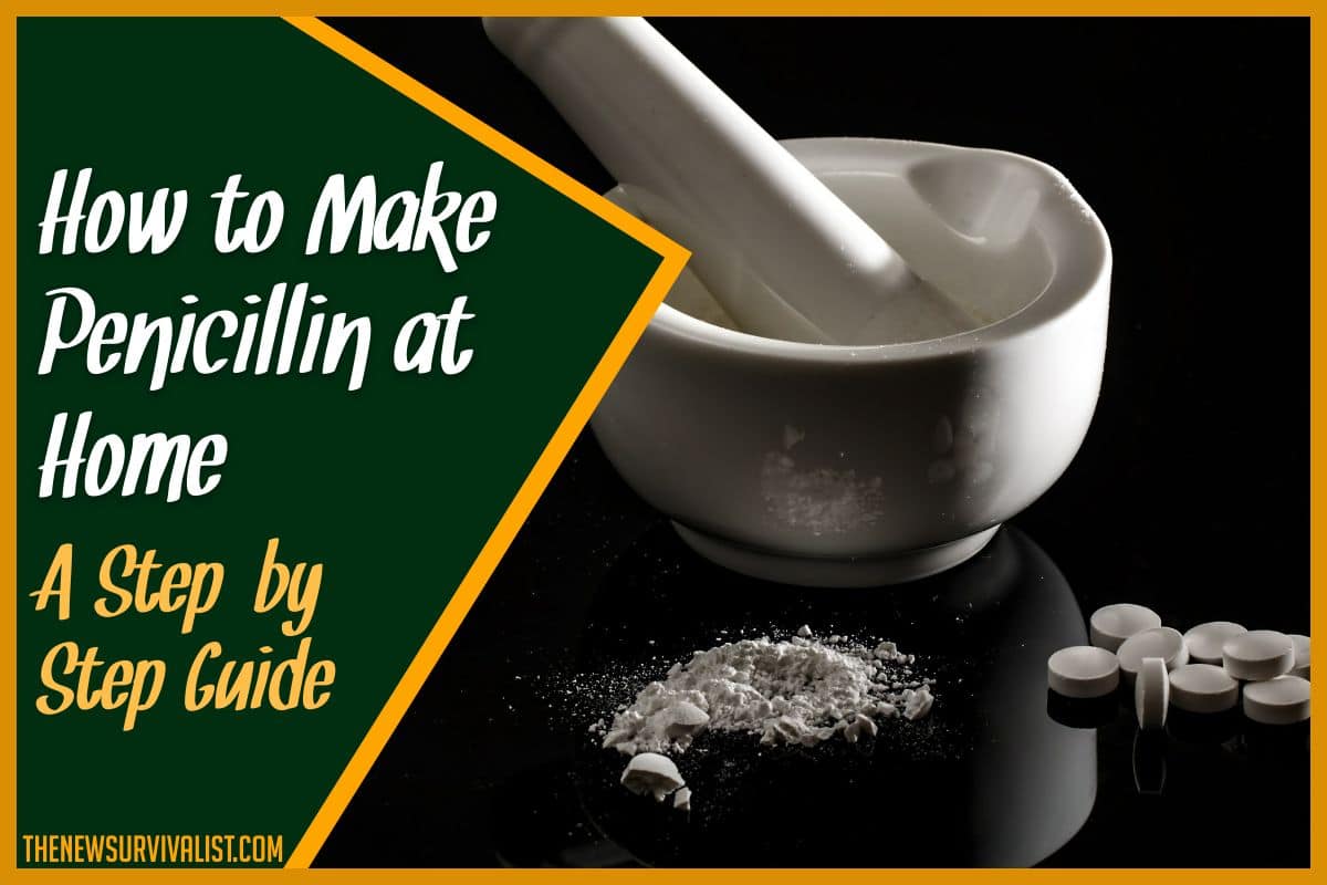How to Make Penicillin at Home A Step-by-Step Guide