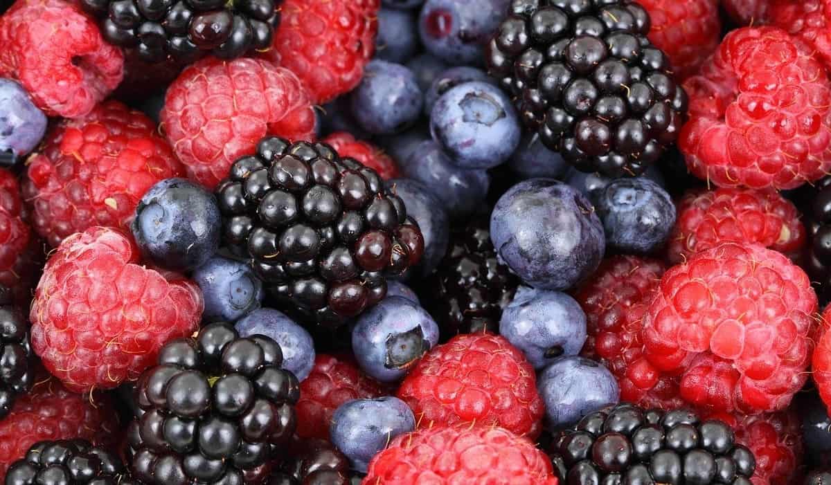 raspberries blueberries blackberries