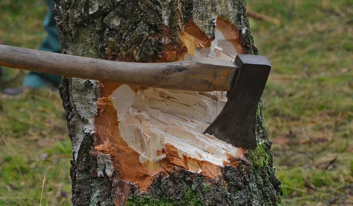 tree felling axe