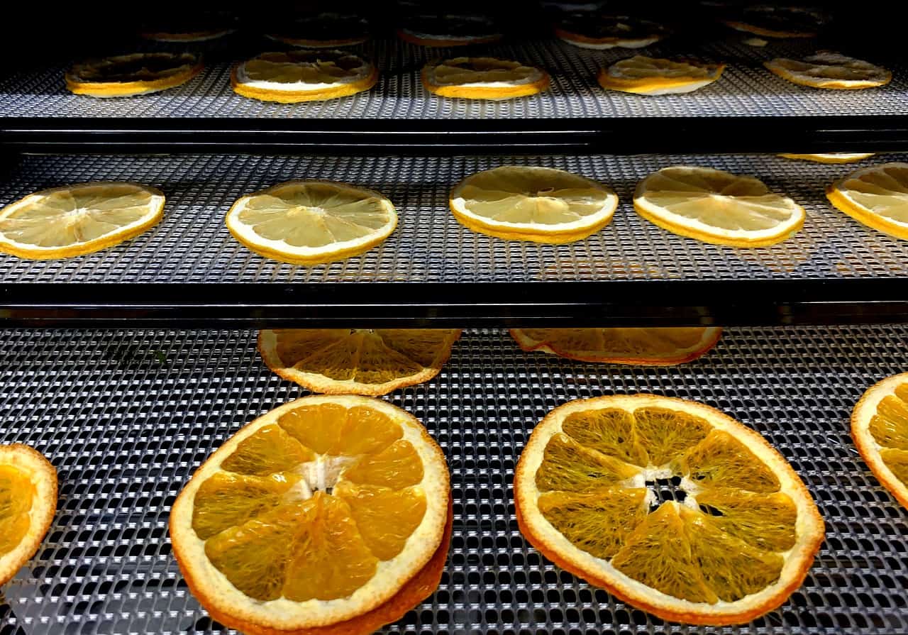 freeze dried oranges