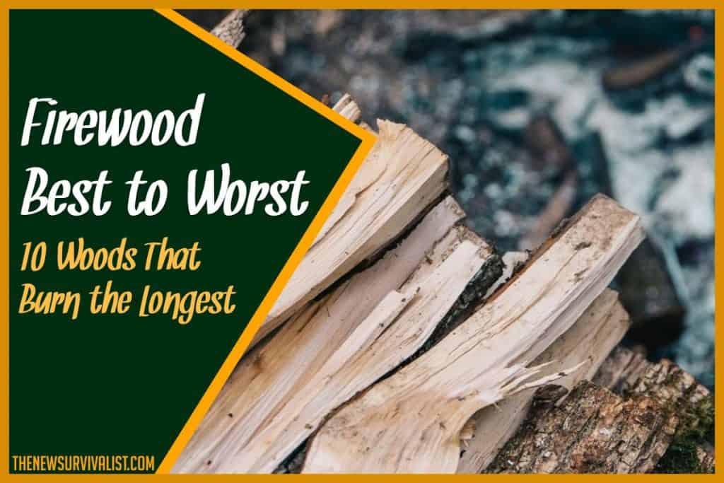 Firewood Best to Worst 10 Woods That Burn the Longest