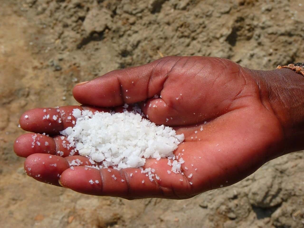 palm salt