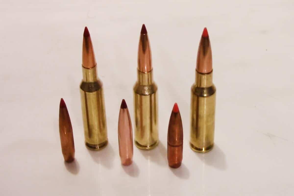 variety ammunition