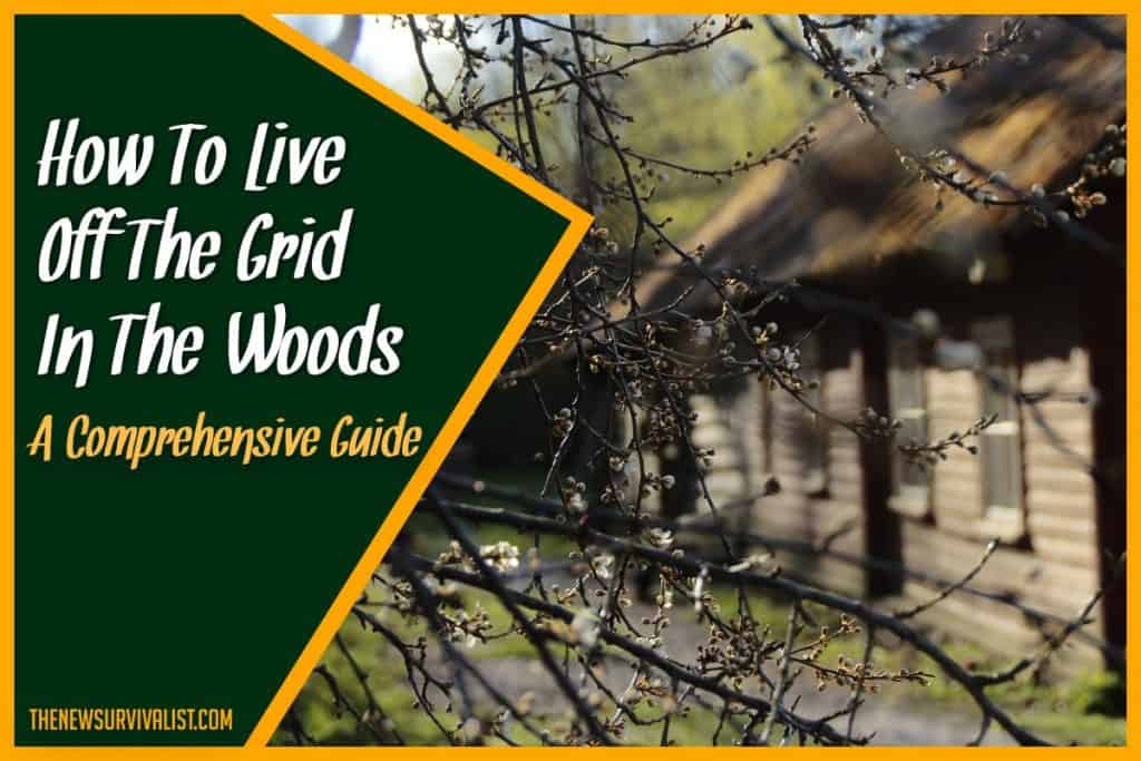 How to Live Off the Grid in the Woods - A Comprehensive Guide