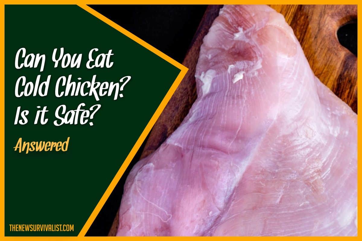 Can You Eat Cold Chicken? Is it Safe? #Answered