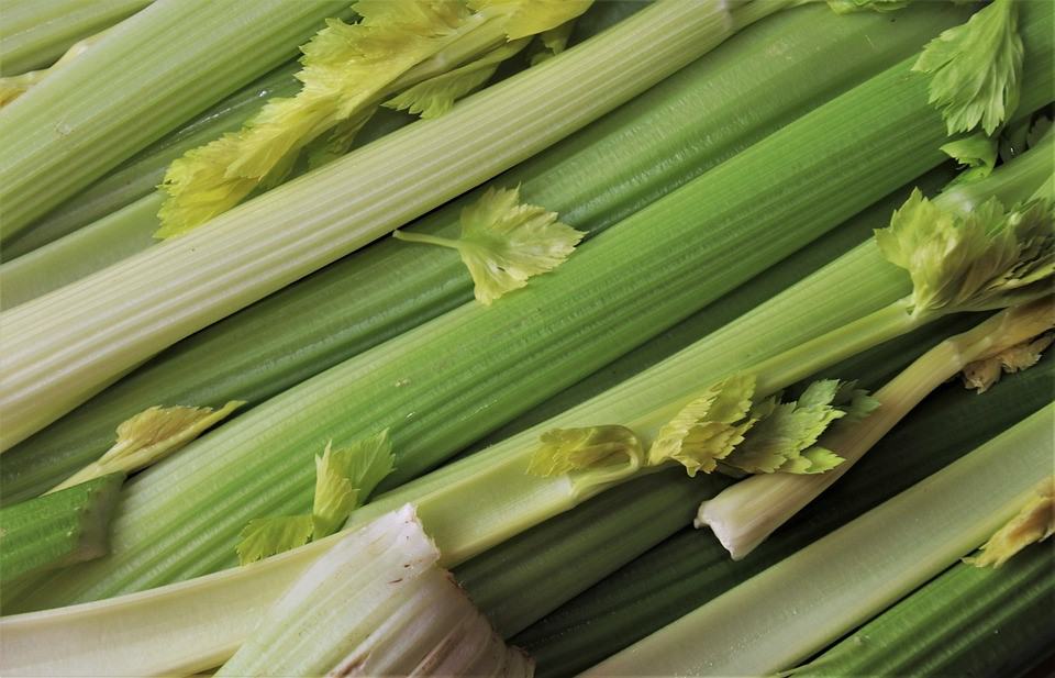 celery close up