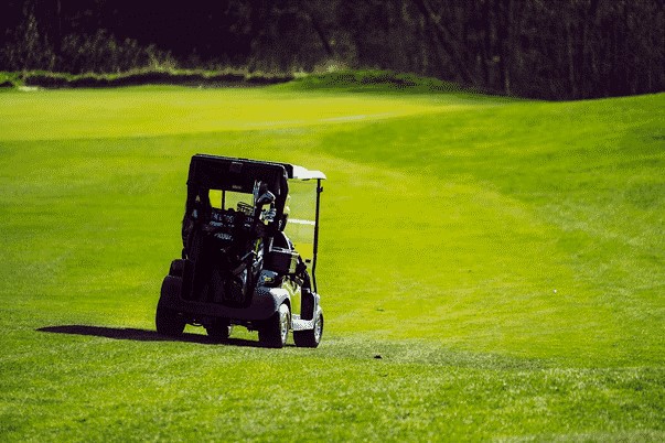 grass golf cart