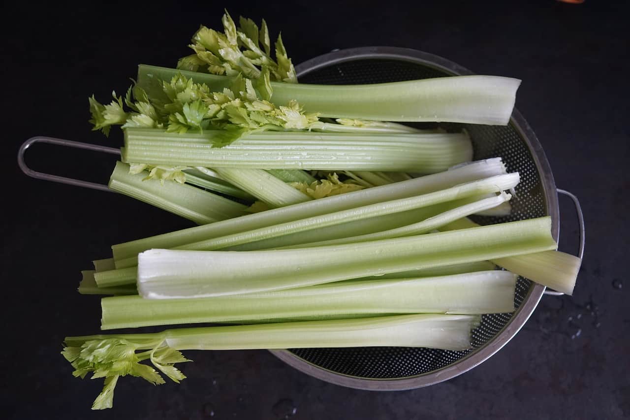 soaked celery