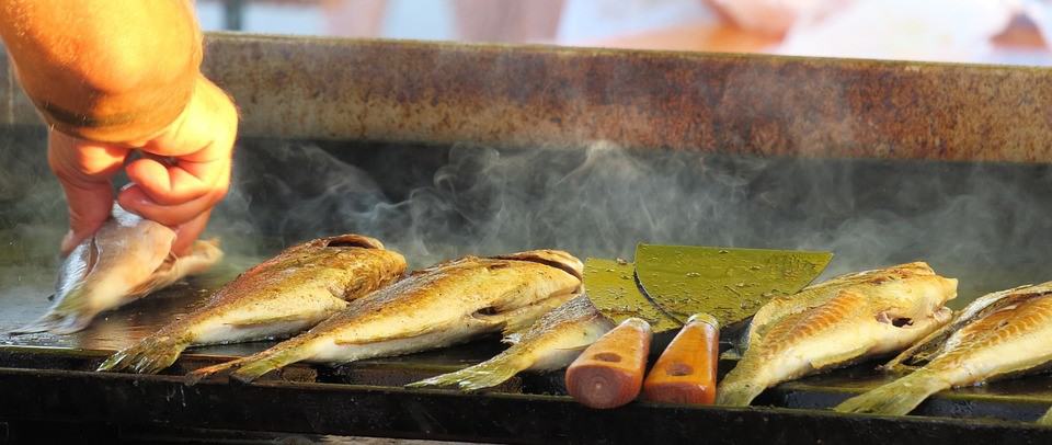 grilled bass