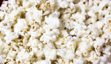 close up photo of popcorn