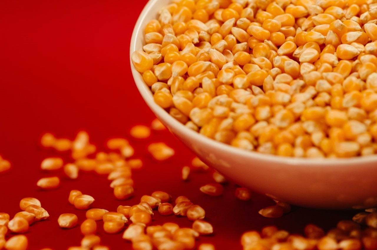 popcorn kernels in a bowl