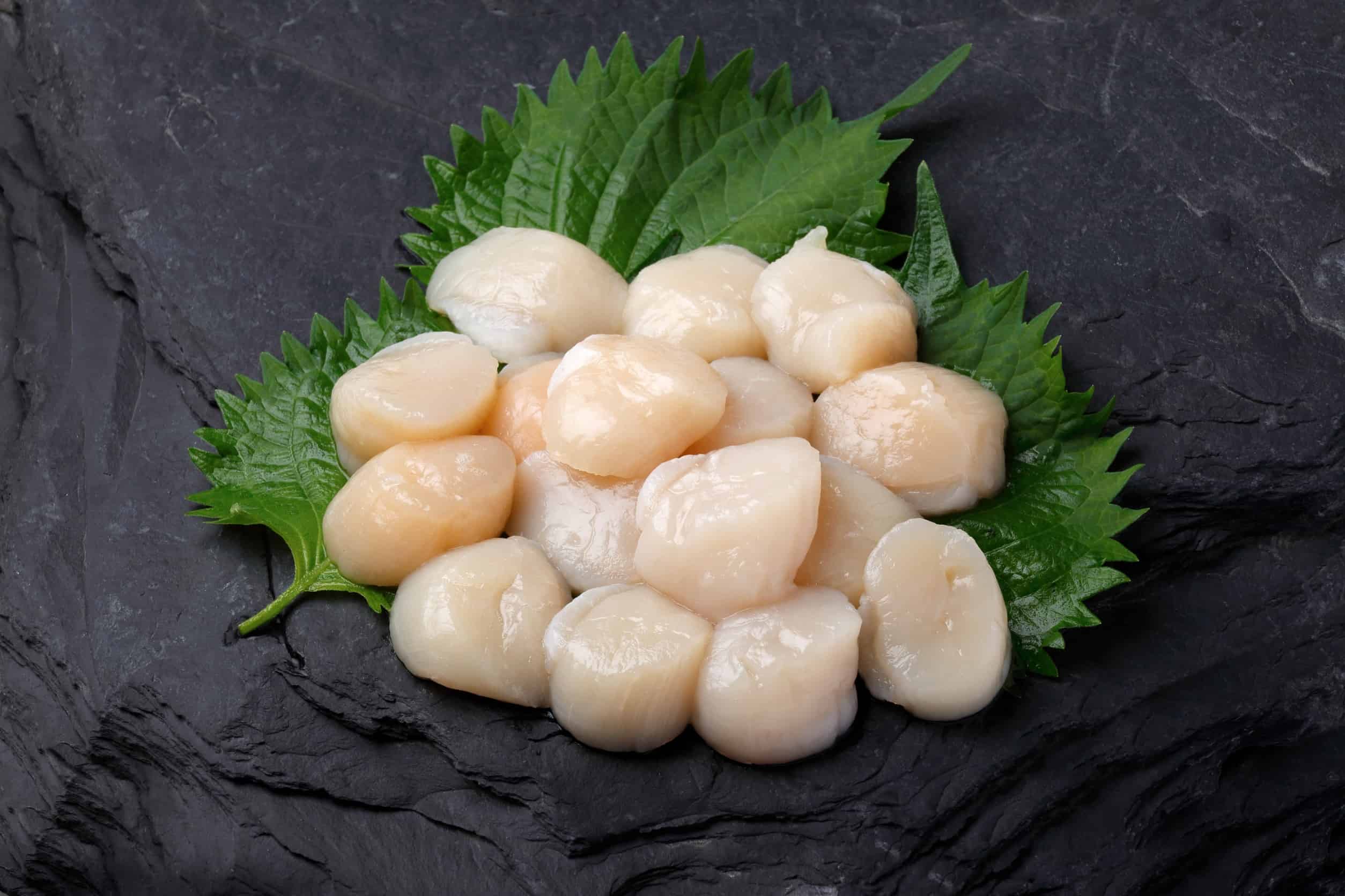 sashimi of scallops